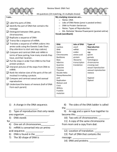 Review Sheet: DNA Test I can… Label the parts of DNA. Identify the