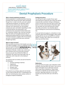 Dental Prophylaxis Procedure