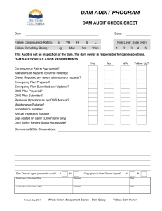 DAM AUDIT CHECK SHEET