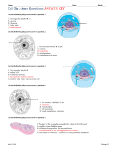 Name: : :___ Cell Structure Questions ANSWER KEY Use the