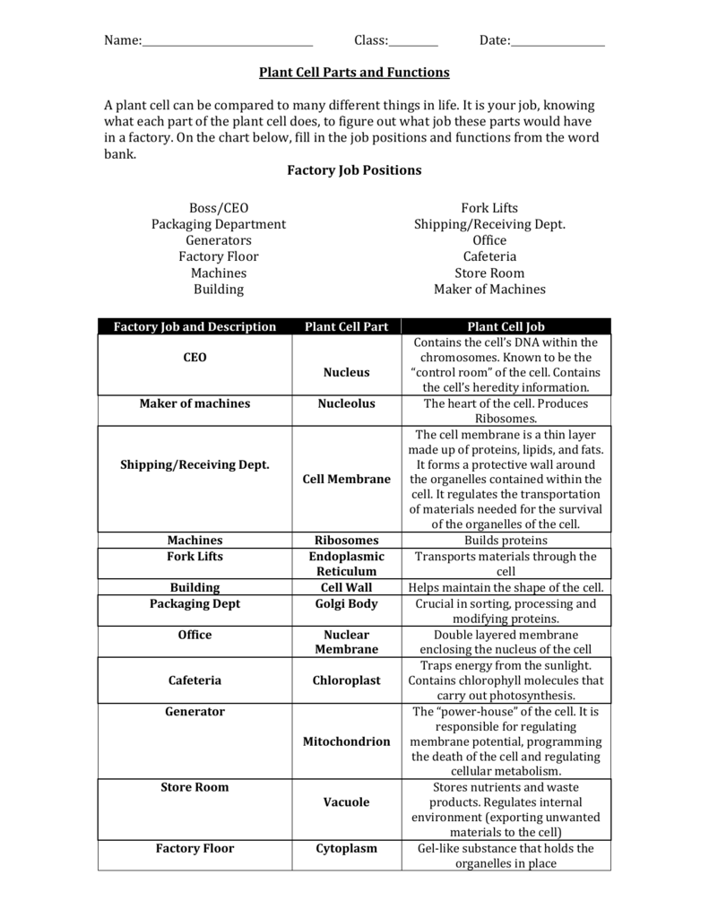 Cell Part Functions Chart