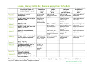 Sample Volunteer Schedule