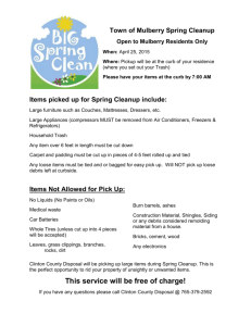 Items picked up for Spring Cleanup include
