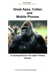 Great Apes, Coltan and mobile phones