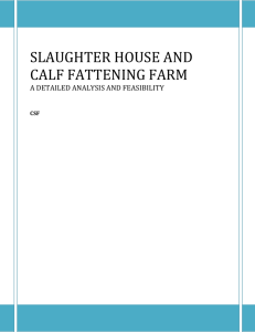 SLAUGHTER HOUSE AND CALF FATTENING FARM