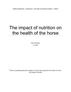 The impact of nutrition on the health of the horse