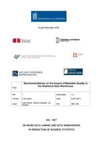 DWH-SGA2-WP1 - 1.2 Recommendations on the Impact of Metadata