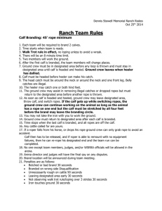 Dennis Stowell Memorial Ranch Rodeo Rules 2014