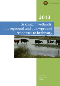 Grazing in wetlands: aboveground and belowground responses to