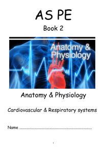 Cardiovascular system, respiratory system.