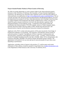 Project Scientist/Postdoc Position in Wheat Genetics of flowering We