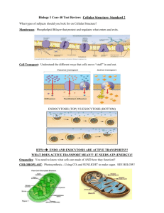 Biology I Core 40 Test Review: Cellular Structure