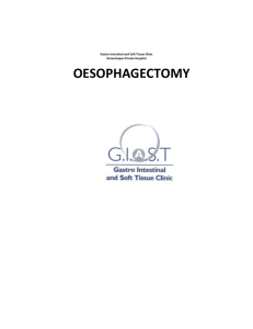 Oesophagectomy Information (Word Document)