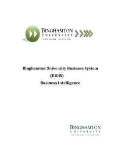 Business Intelligence Training Manual