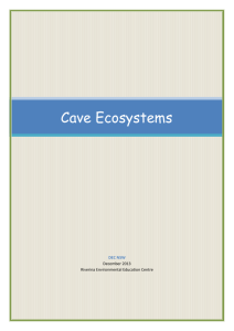 Cave Ecosystems - Riverina Environmental Education Centre