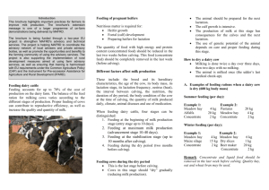 feeding and ration formulation for milking cows
