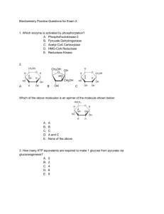 Biochemistry Practice Questions Exam 2