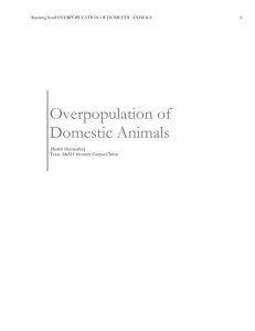 Overpopulation of Domestic Animals