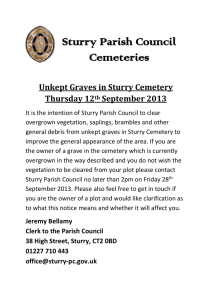 12.09.13-Unkept-Graves-in-Sturry-Cemetery
