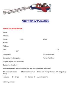 The adoption application is in MSWord97
