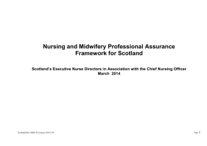 Nursing and Midwifery Professional Assurance Framework 2014