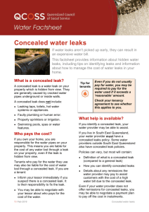 Concealed water leaks (Word version)