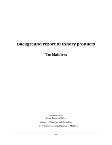 Background report of fishery products, The Maldives