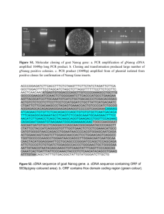 Figure S1. Molecular cloning of goat Nanog gene: a. PCR