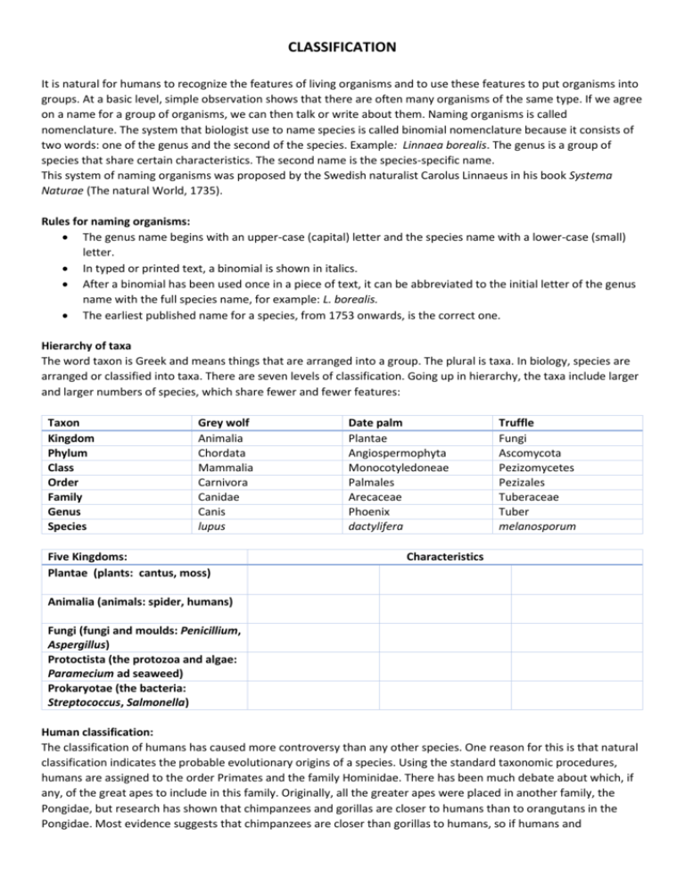 State The Classification Of Human Right With Three Example Each