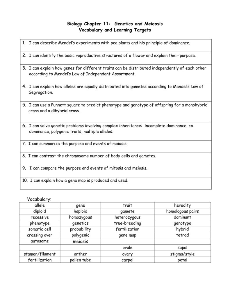 U25: Genetics and Meiosis: Vocabulary and With Regard To Meiosis Worksheet Vocabulary Answers
