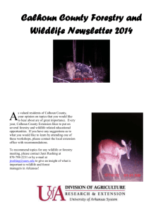 Wildlife Newsletter 2014