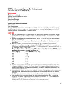 DNA Lab Supplement