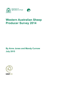 1. Background to the producer survey