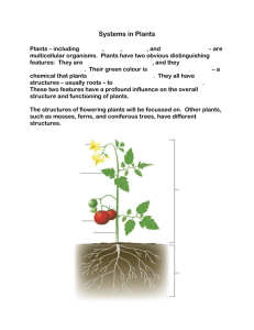 4.1 Systems in Plants student copy