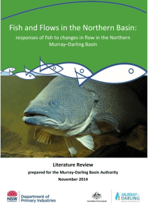 Fish and flows in the northern Basin stage 1 literature review