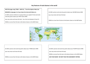 Level Assessment Criteria