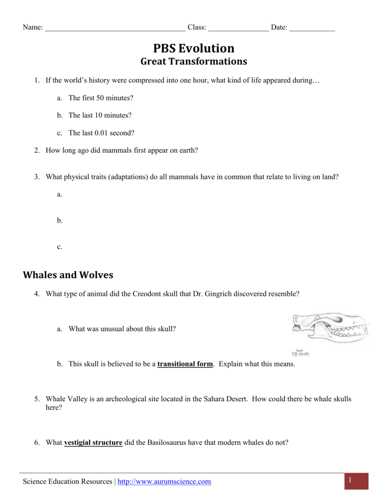 Great Transformations Video Worksheet Answer Key