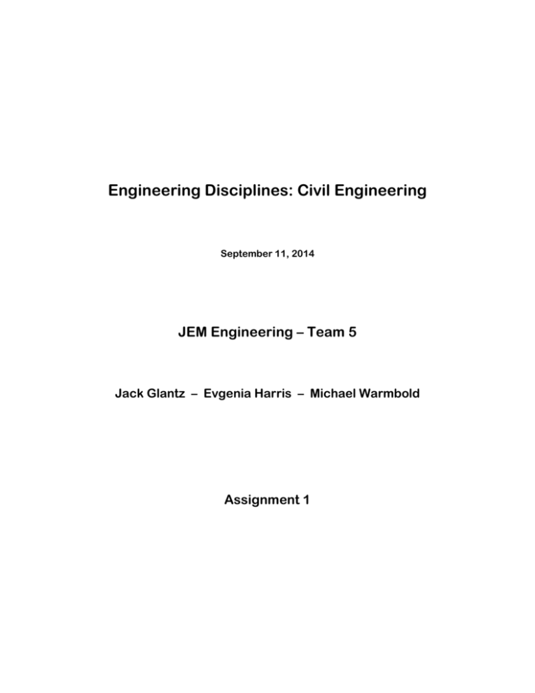 engineering disciplines assignment