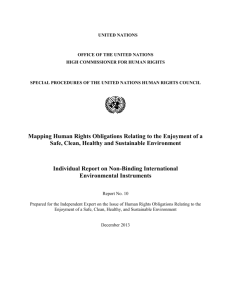 Individual Report on Non-Binding International Environmental