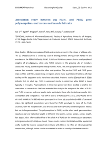 Association study between pig PLIN1 and PLIN2 gene