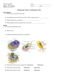 L11.WS.Prokaryotic & eukaryotic - mr