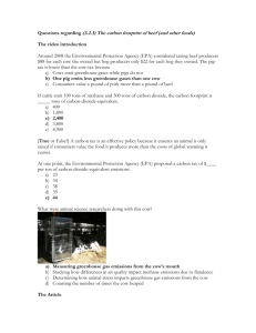 Questions regarding (3.2.3) The carbon footprint of beef (and other