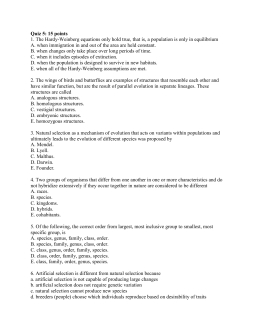 extended essay history presentation example
