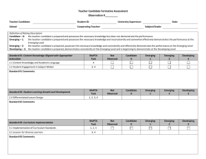 Formative Evaluation Form