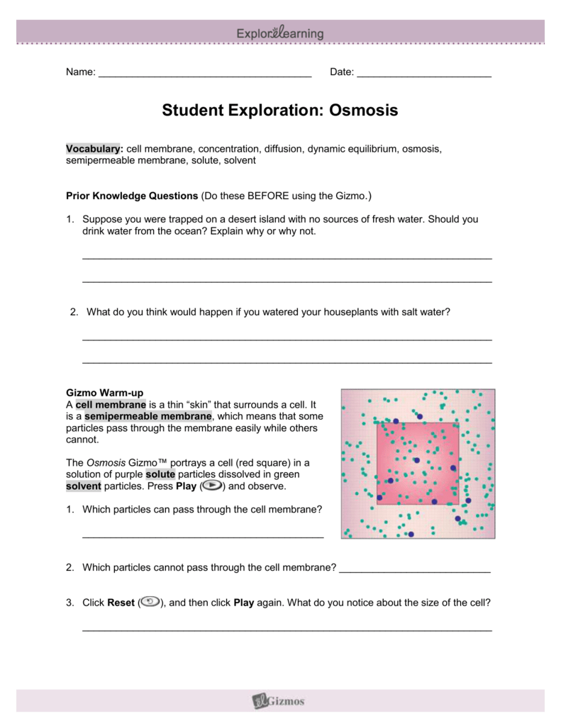 Equilibrium And Pressure Gizmo Answer Key - HardyWeinbergSE.doc - Biology Ii with Martin at ...