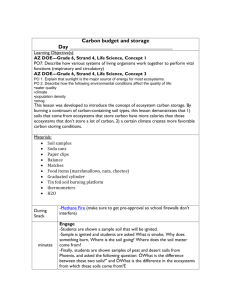 carbon budget and storage lesson