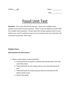 Fossil Unit Test ans Answers