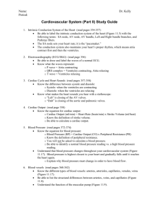 Cardiovascular System (Part II) Study Guide