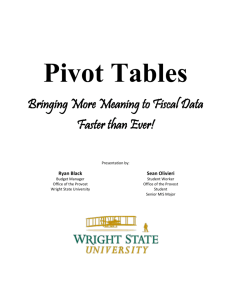 Pivot Table Training Document