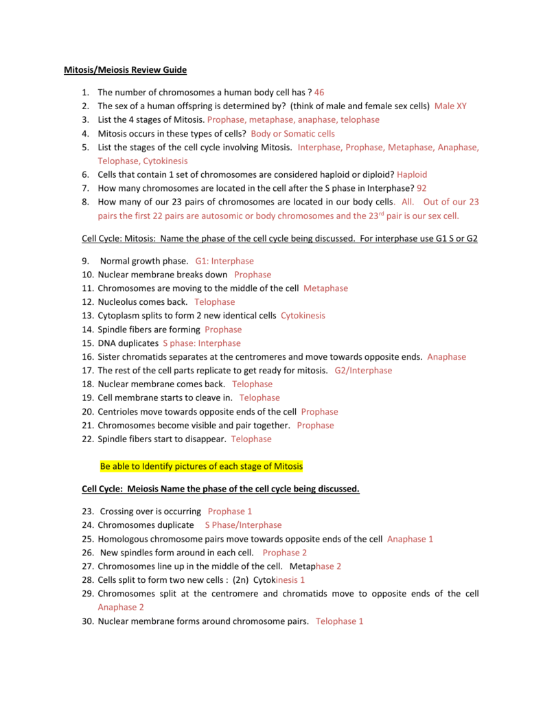 Mitosis Meiosis Review Answers